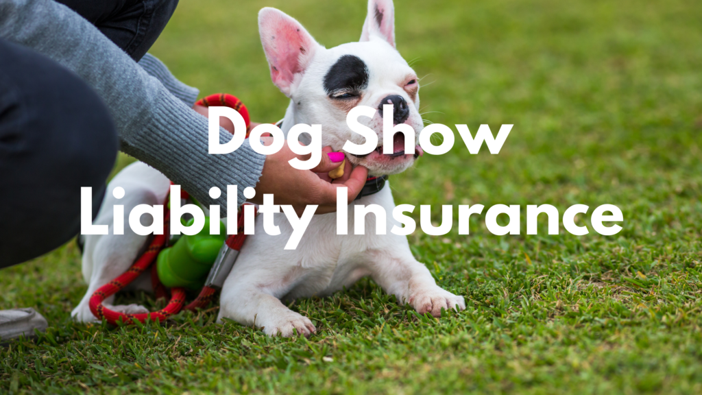 Protect Your Dog Show With Liability Insurance 2023 SIA   Dog Show With Liability Insurance 1024x576 